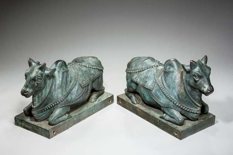 19th Century Pair of Patinated Bronze Brahma Bulls