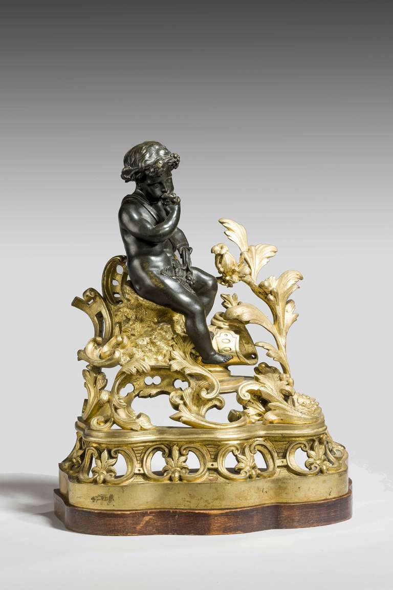 French Pair of 19th Century Bronze and Gilt Bronze Chenets