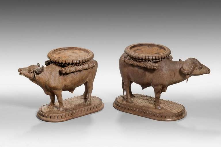 Pair of Late 19th Century Water Buffalo  In Excellent Condition For Sale In Peterborough, Northamptonshire