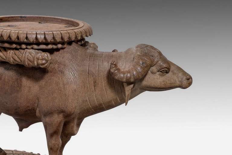 Wood Pair of Late 19th Century Water Buffalo  For Sale