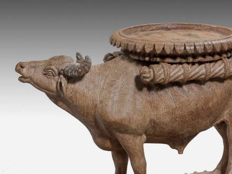 Pair of Late 19th Century Water Buffalo  For Sale 1