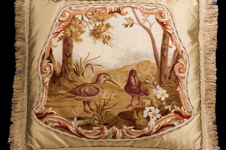 French Cushion: 18th Century, Wool. Two Exotic, Long Billed Birds For Sale
