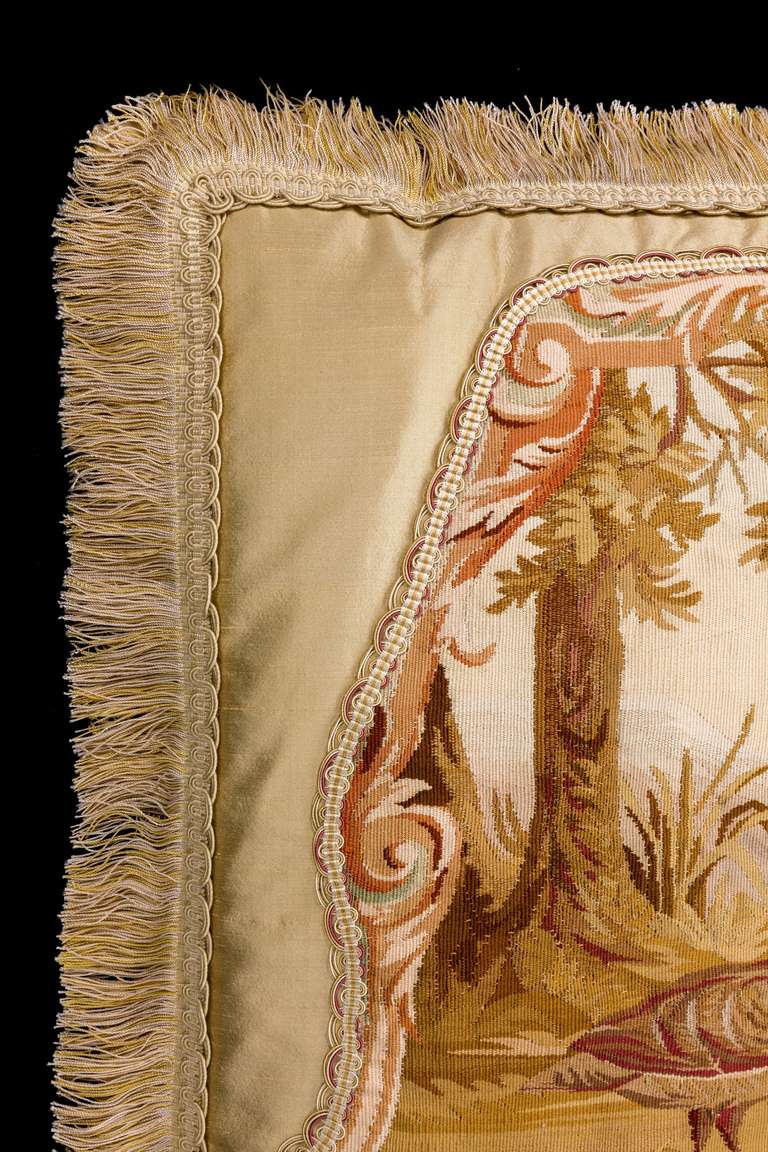 Cushion: 18th Century, Wool. Two Exotic, Long Billed Birds For Sale 1