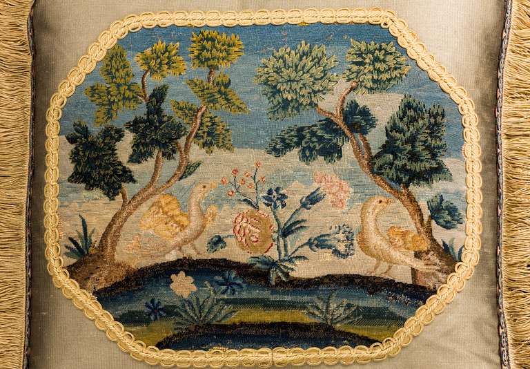 French Cushion: 18th Century, Wool. Exotic Birds.