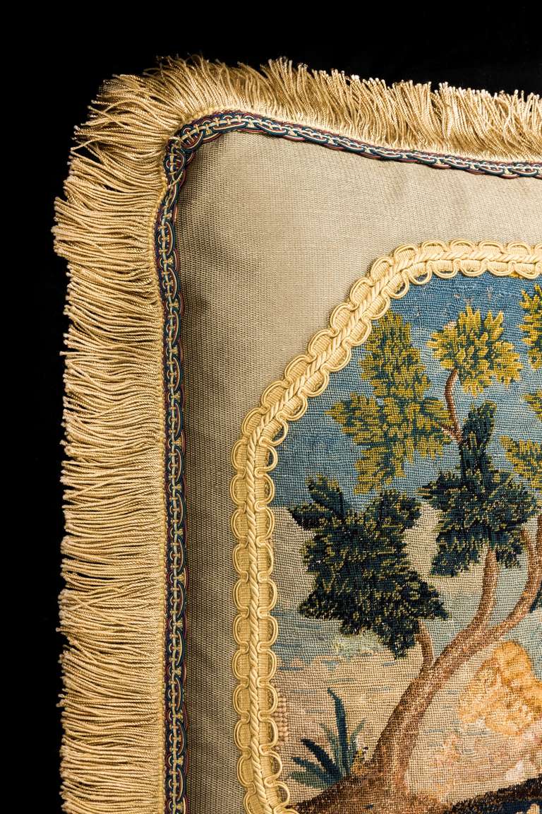18th Century and Earlier Cushion: 18th Century, Wool. Exotic Birds.
