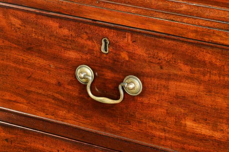 George III Period Mahogany Bookcase on Chest 3