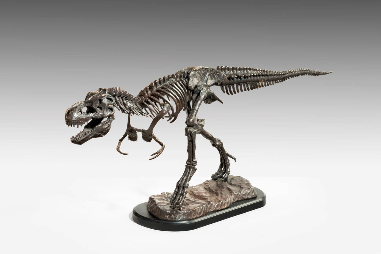 A mid-20th century bronze of a tyrannosaurus-rex dinosaur in skeletal form. On a rocky base.

The neck of tyrannosaurus-rex formed a natural S-shaped curve like that of other theropods, but was short and muscular to support the massive head. The