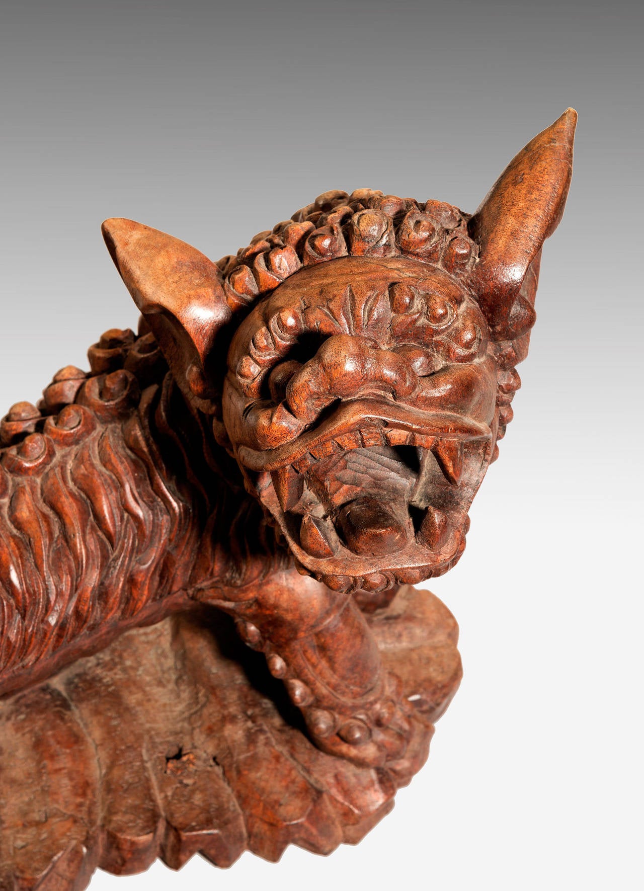 Late 19th Century Carved Wooden Dog 3