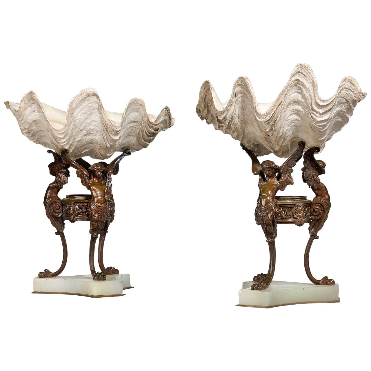 Pair of 19th Century Natural Conch Shells