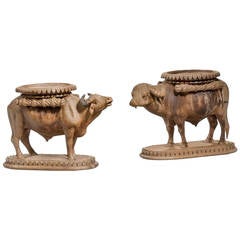 Pair of Late 19th Century Water Buffalo 