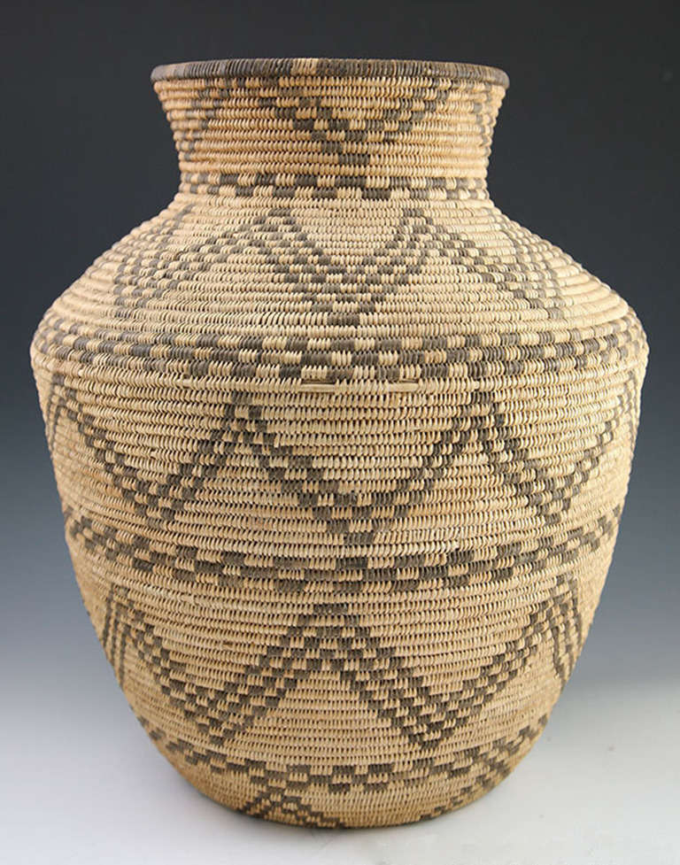 Apache Olla Basket