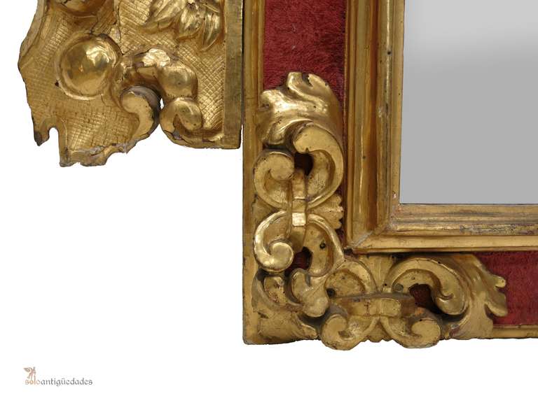 Majestic Louis XV golden mirror with exquisite decoration enriched of carving vegetable “entrecalles” maroon velvet.