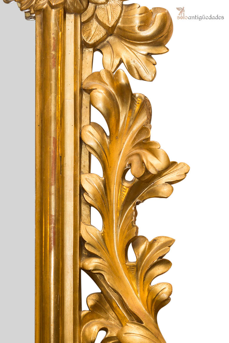 Valuable rectangular wall mirror rococo style with polychrome cherubs topping every corner. Gold wood frame, “abocelado” profile draft and carved with acanthus leaves large, naturalistic flowers.