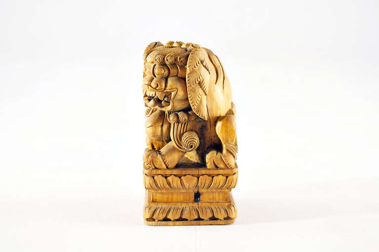 Chinese Temple Lion Doorkeeper - Kiautschou Tsingtao, Early 19th Century For Sale