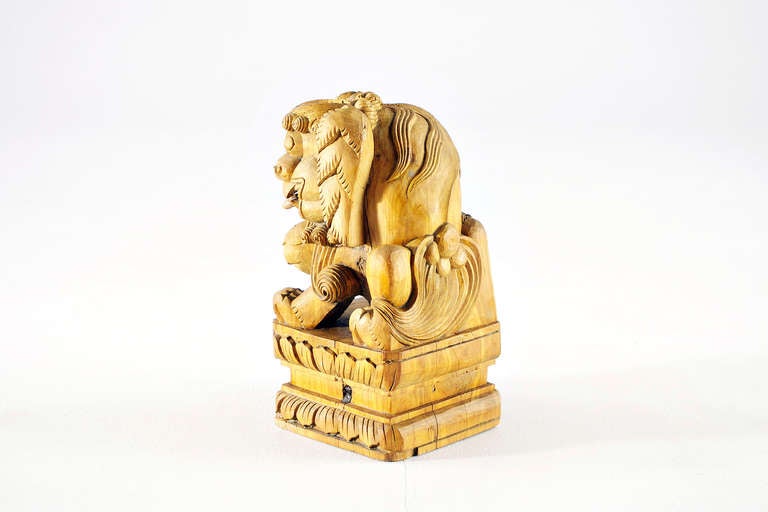 Carved Temple Lion Doorkeeper - Kiautschou Tsingtao, Early 19th Century For Sale