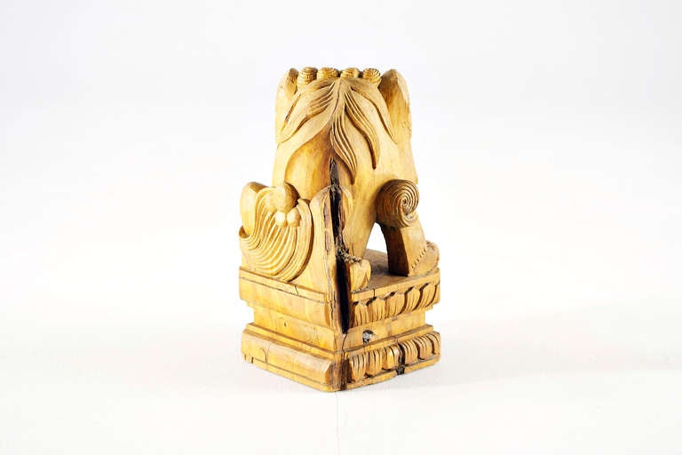 Temple Lion Doorkeeper - Kiautschou Tsingtao, Early 19th Century For Sale 4
