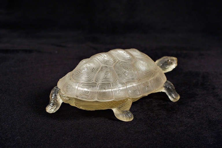 Turtle Jewel Box For Sale 1