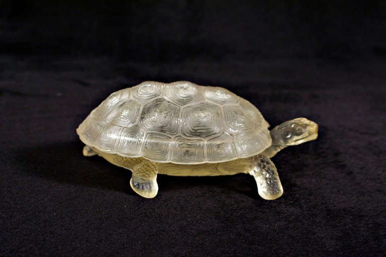 Empire Turtle Jewel Box For Sale