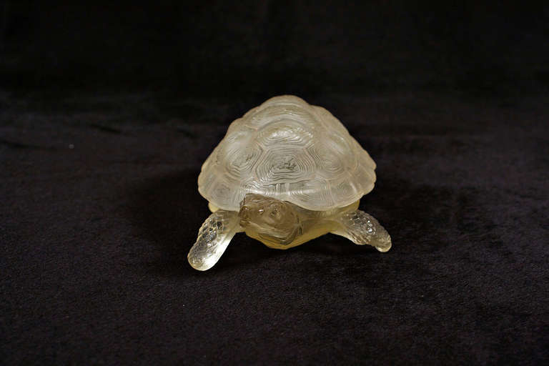 French Turtle Jewel Box For Sale