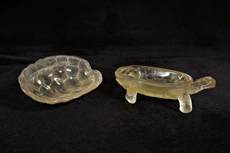 20th Century Turtle Jewel Box For Sale
