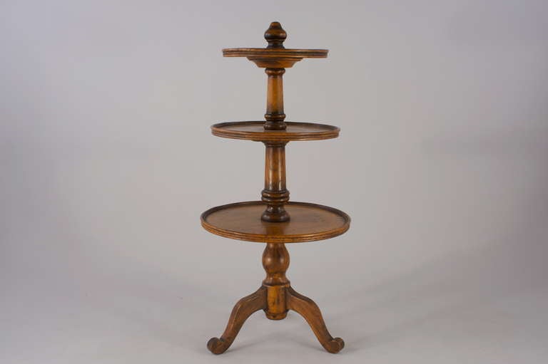 Tall Oak Etagere, 19th Century