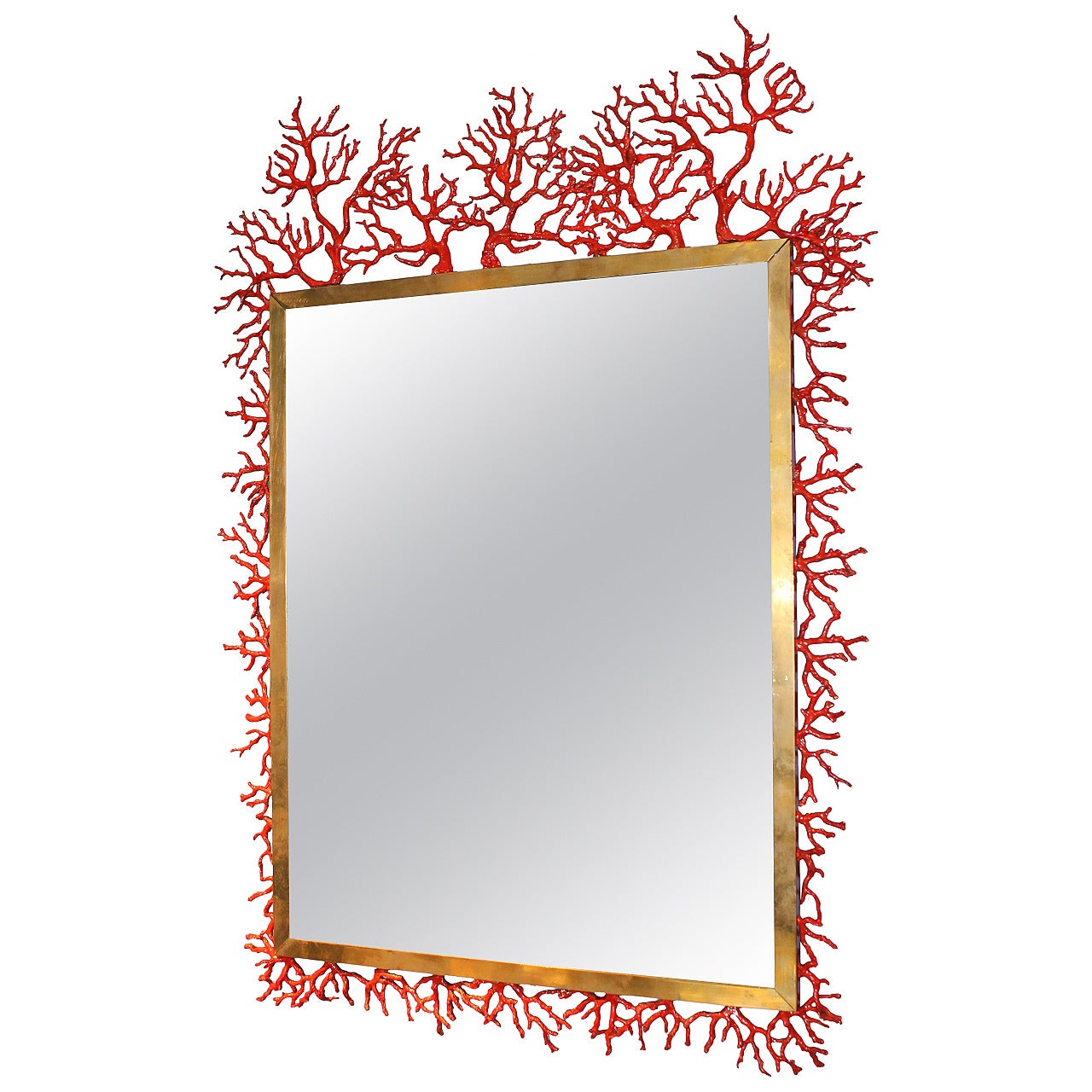 Coral Mirror by Robert Goossens