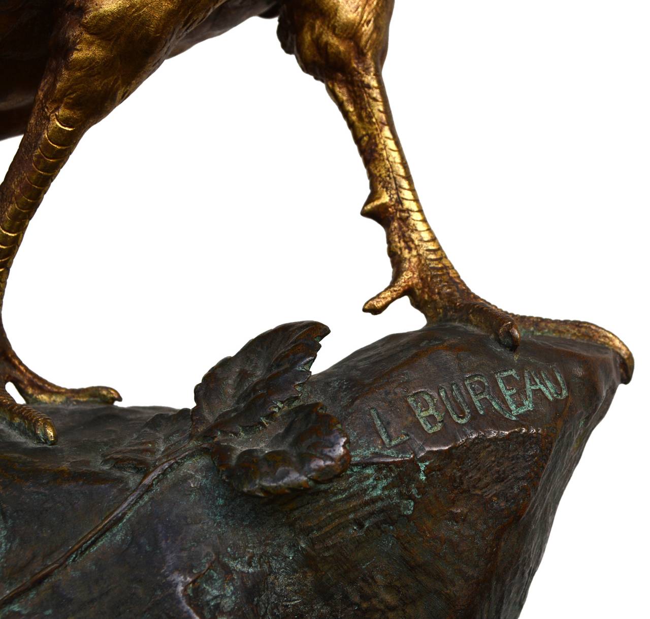 Léon Bureau, Faisan sur Rocher ( Phaesant on a Rock )