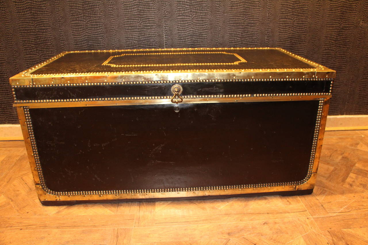 Brass 19th Century French Leather and Camphor Wood Steamer Trunk