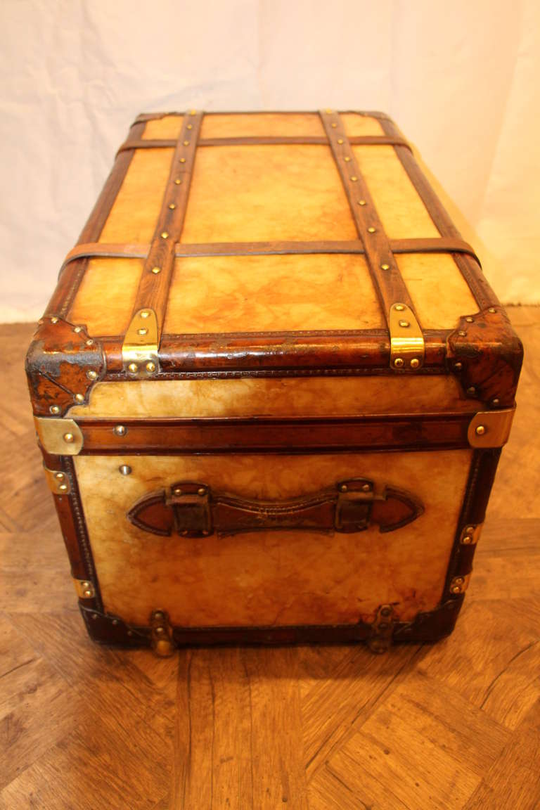 20th Century 1900s Vellum and Leather Trunk