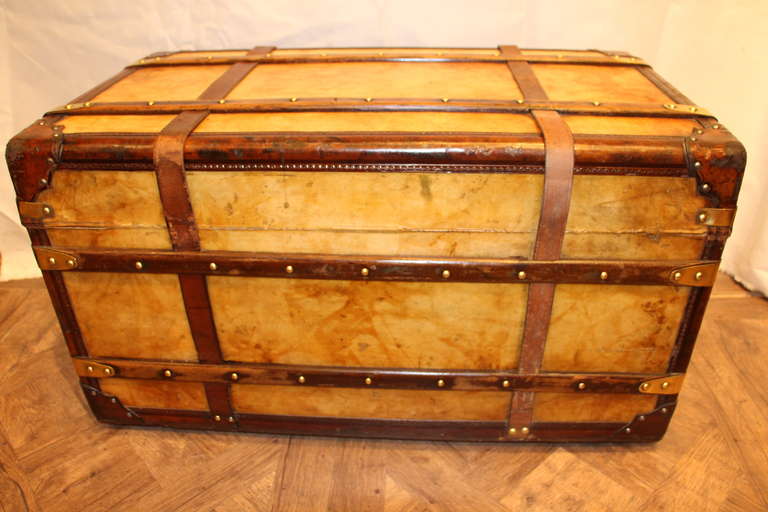 1900s Vellum and Leather Trunk 1