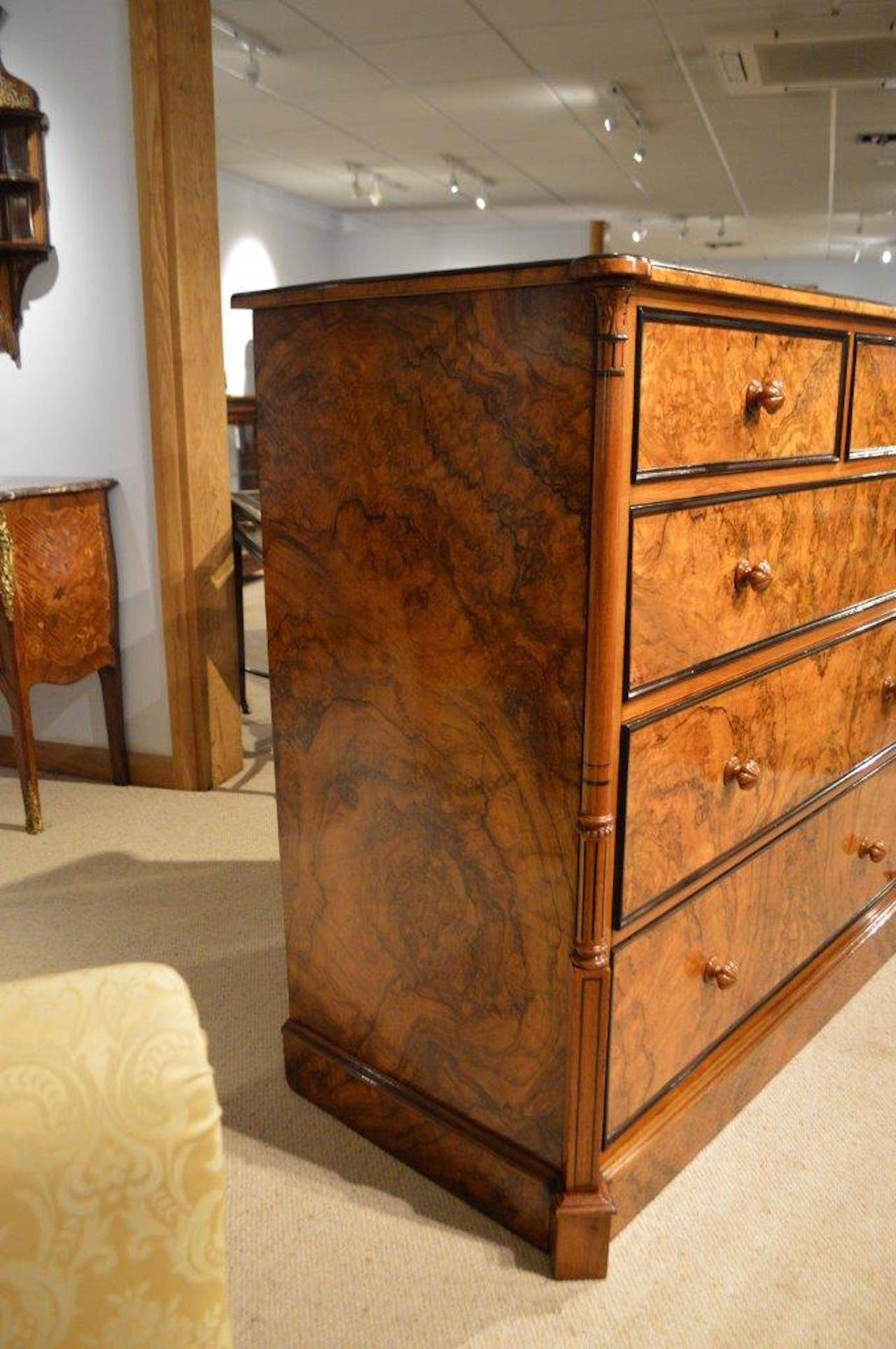 A Stunning Burr Walnut Victorian Period Antique Chest Of Drawers 1