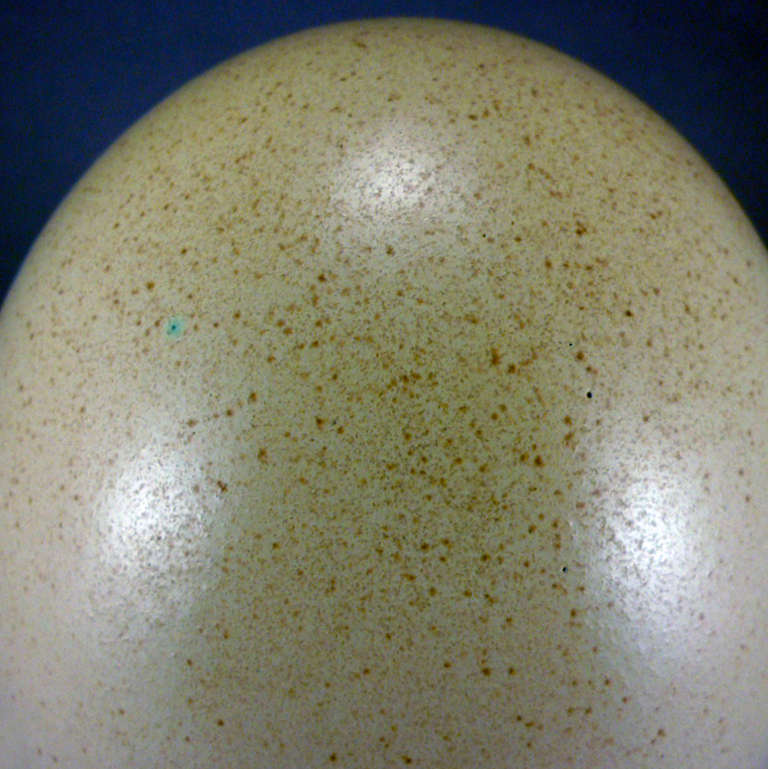 Eggs Pol Chambost In Excellent Condition In Girona, ES