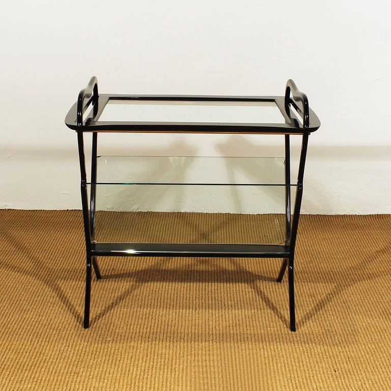 Italian Table and Magazine Rack by Ico Parisi