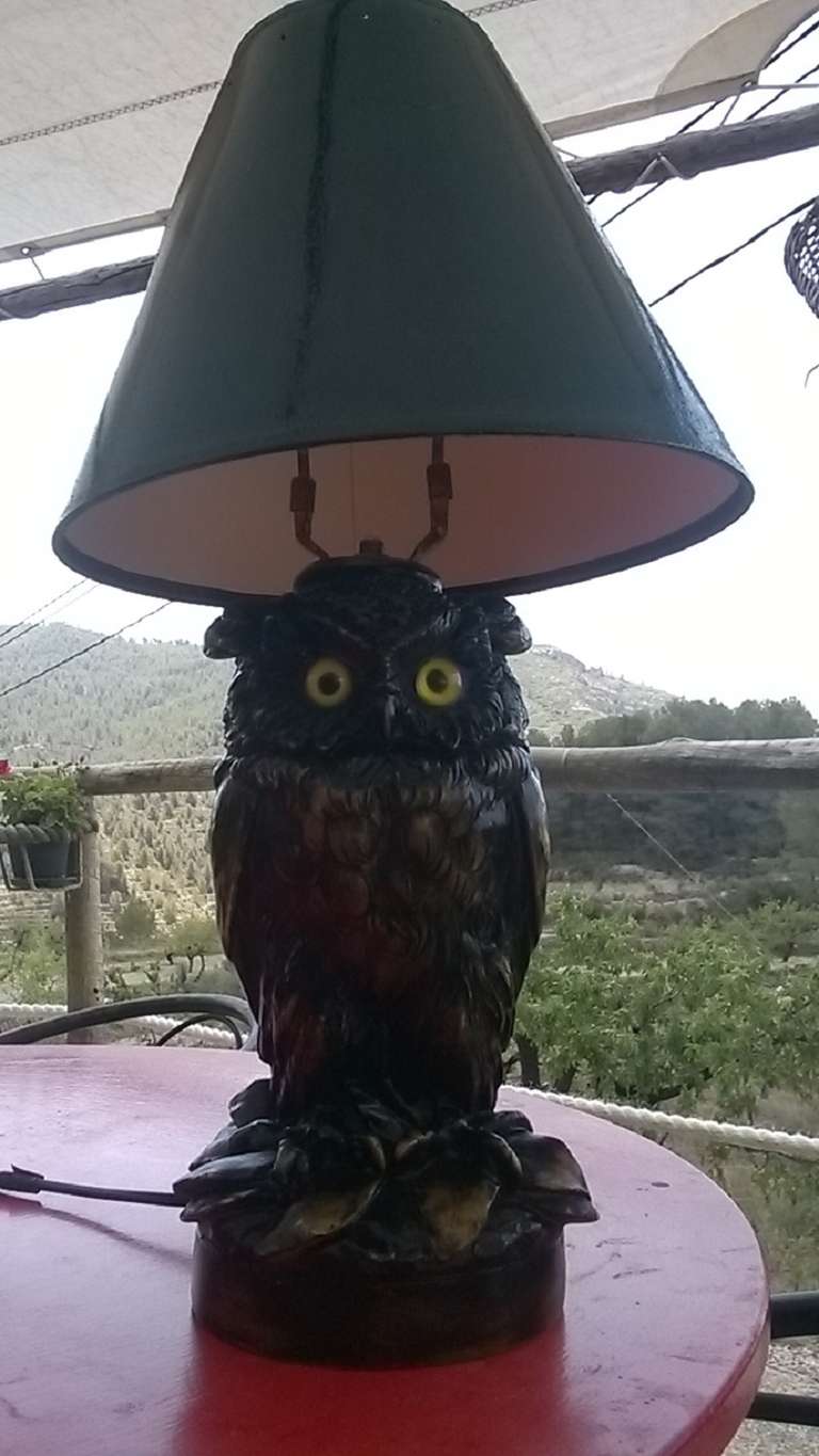 Resin copy of an antique bronze owl. A striking lamp.