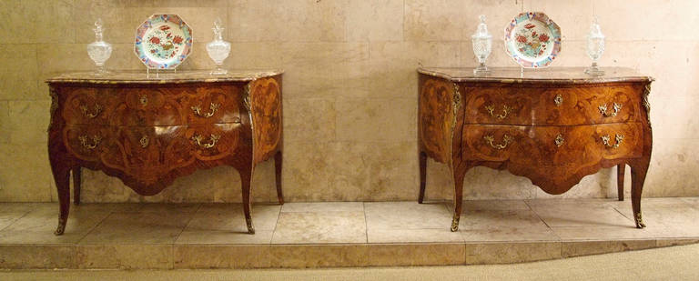 18th Century and Earlier Pair of 18th Century Portuguese Commodes For Sale