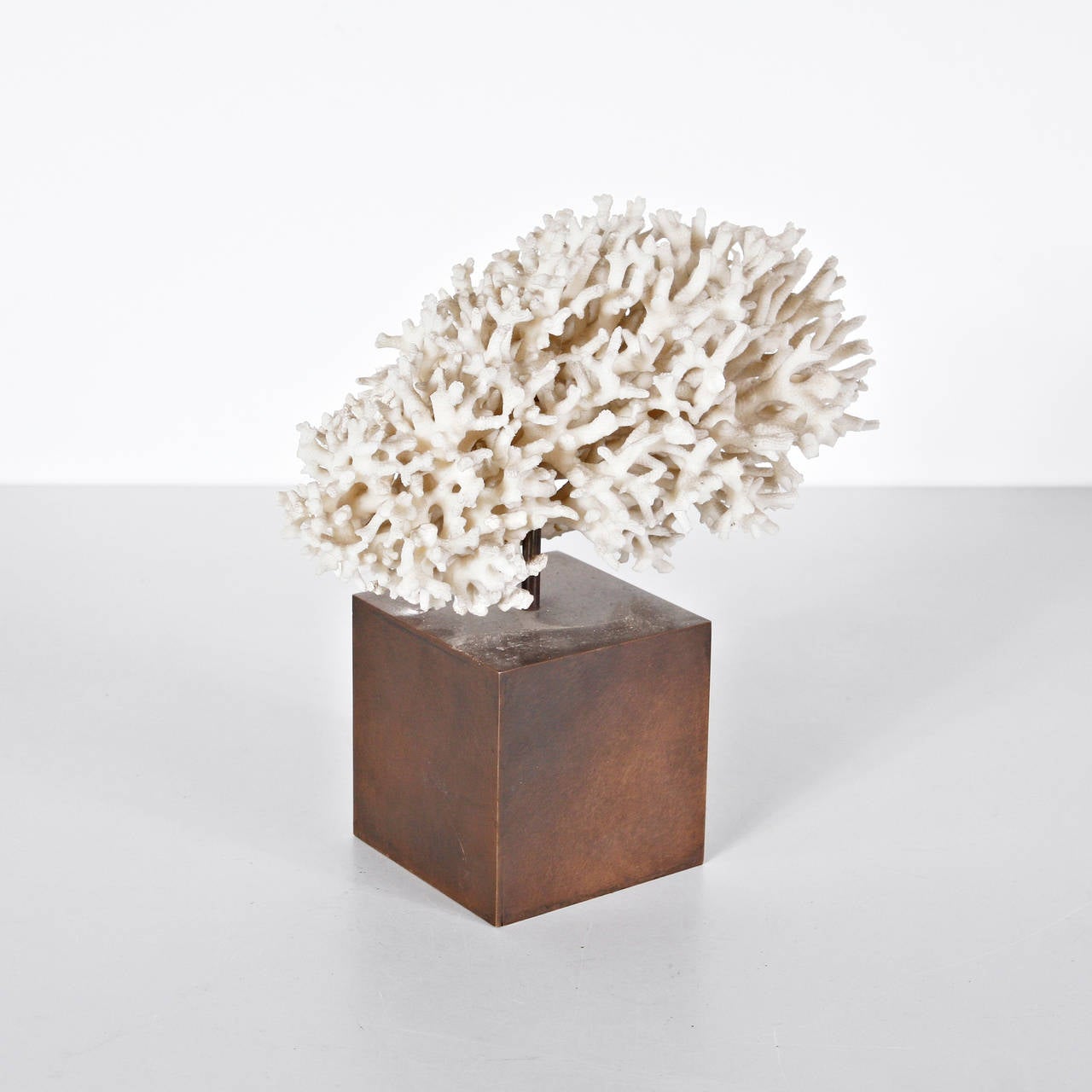 Late 20th Century Beautiful Coral and Brass Sculpture