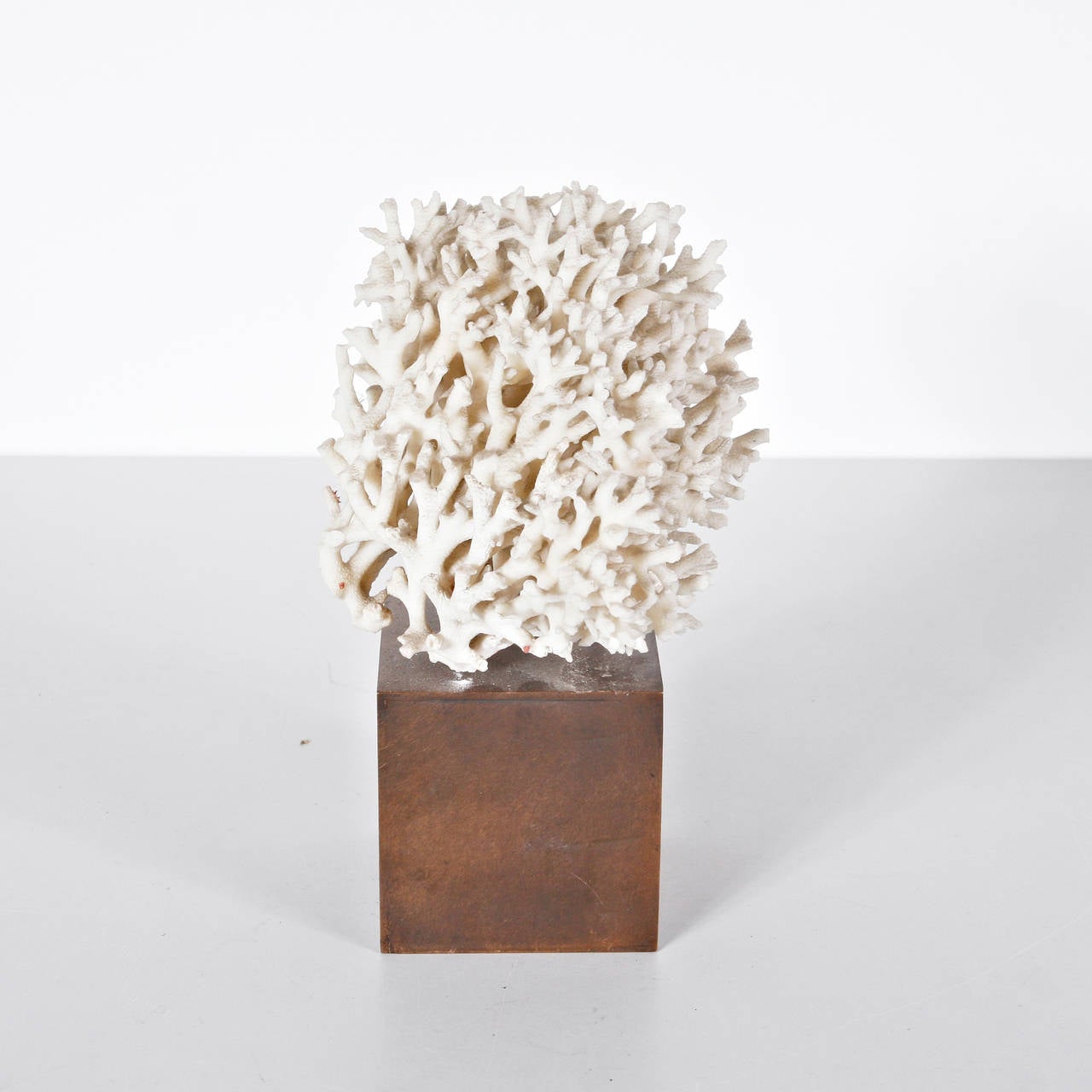 Beautiful Coral and Brass Sculpture 1