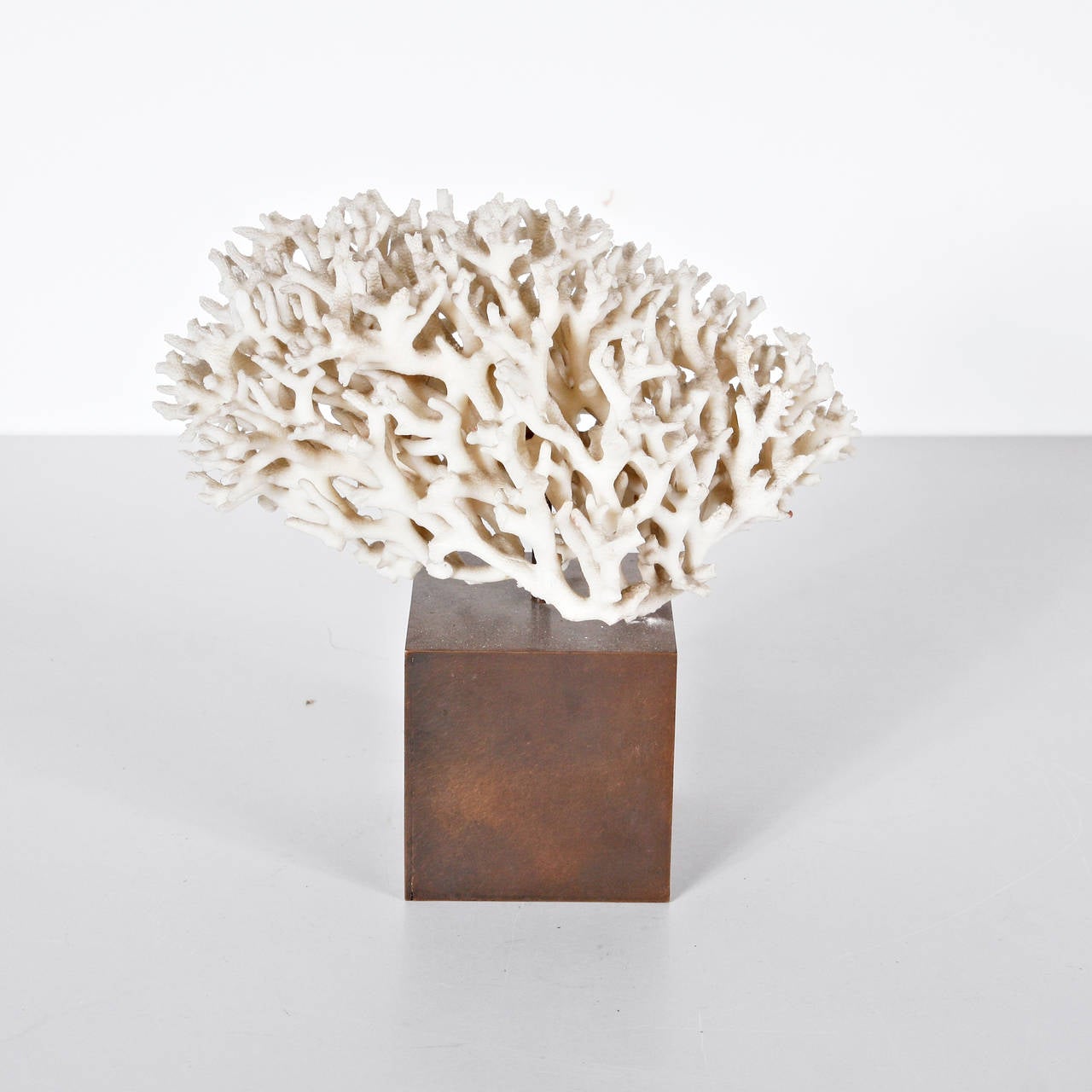 Beautiful Coral and Brass Sculpture 2