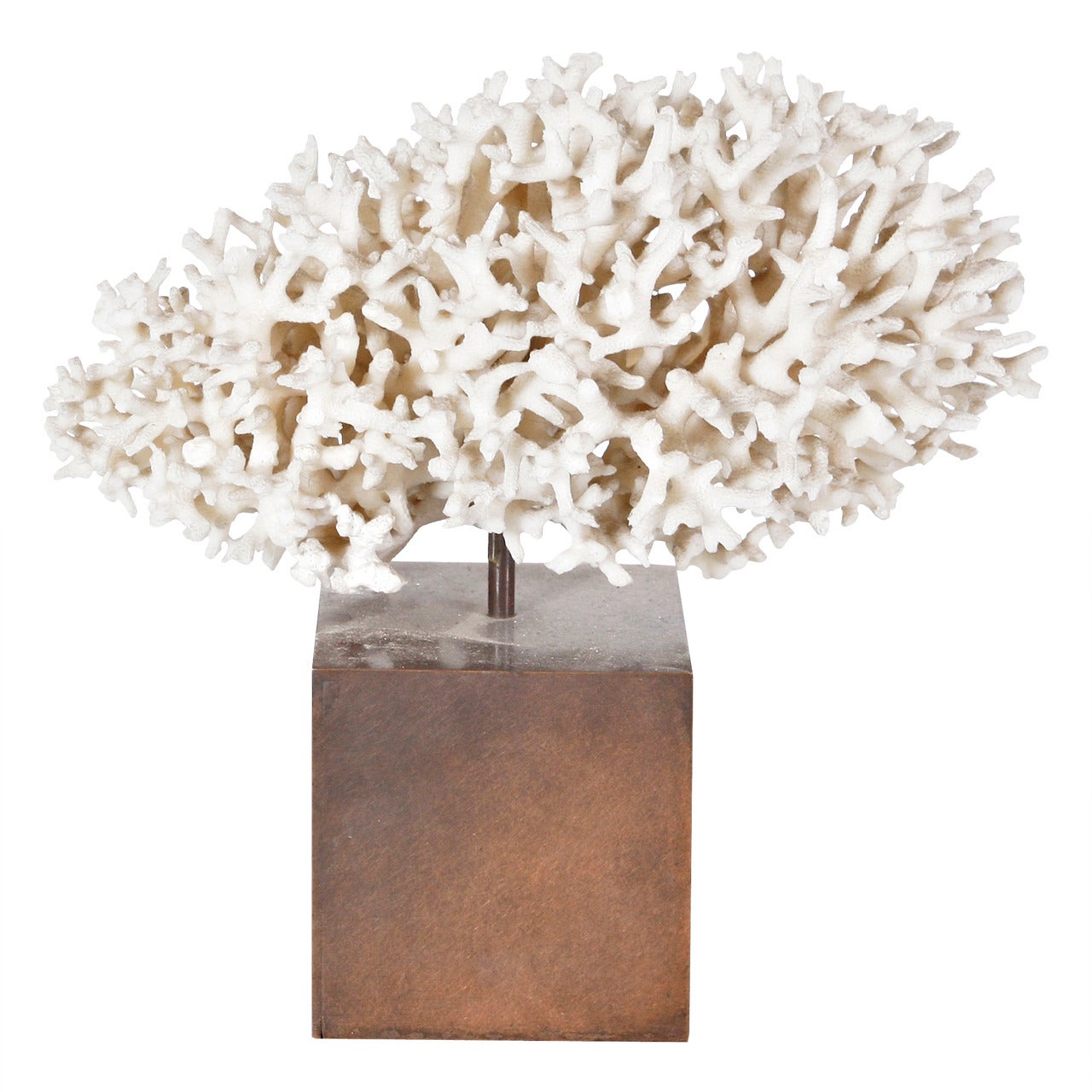 Beautiful Coral and Brass Sculpture