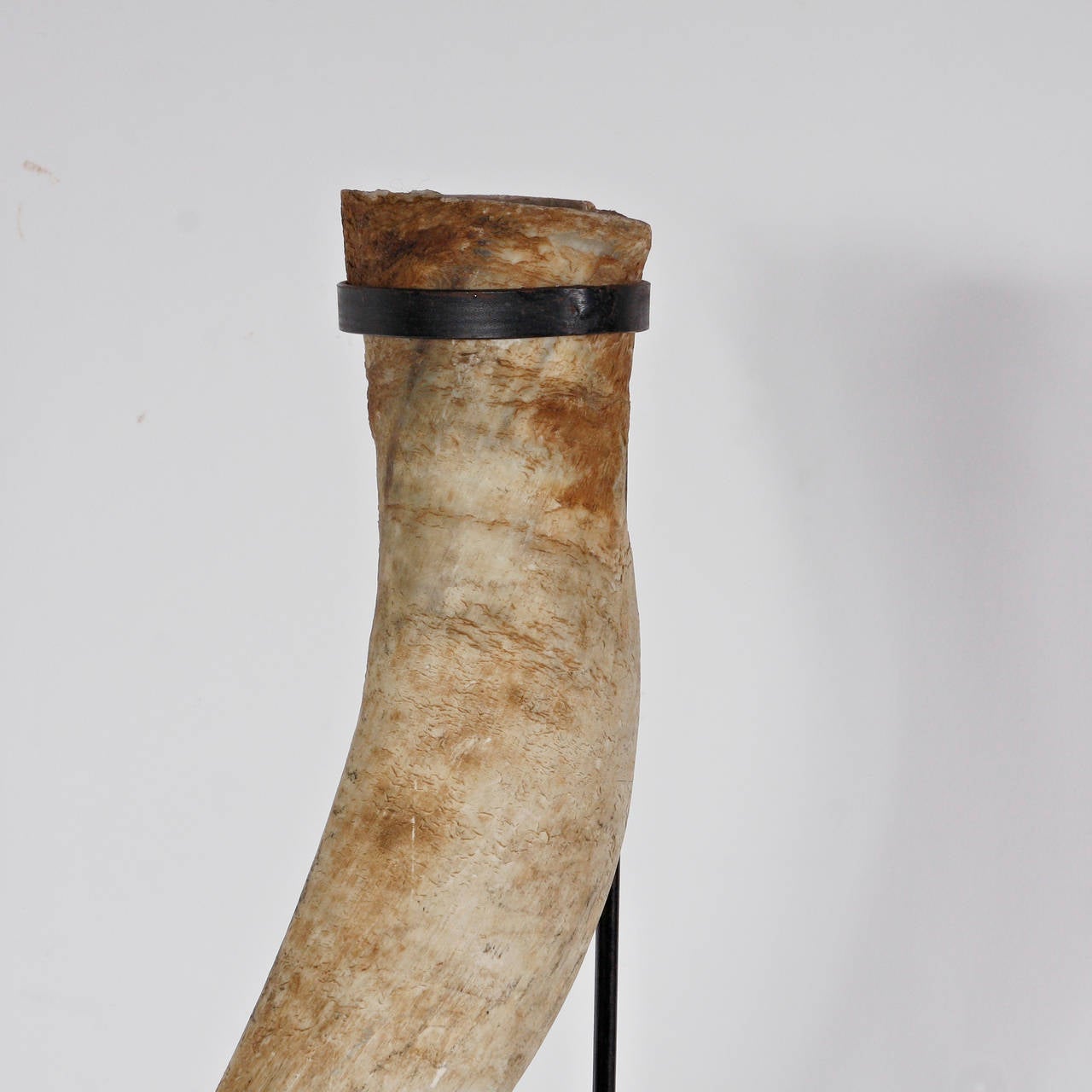Very decorative large horn with a refined brass stand.