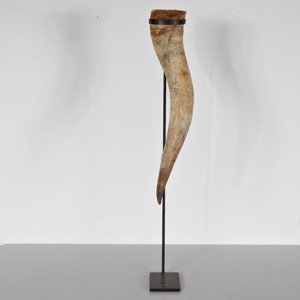 Mid-Century Modern Horn with Brass Stand For Sale