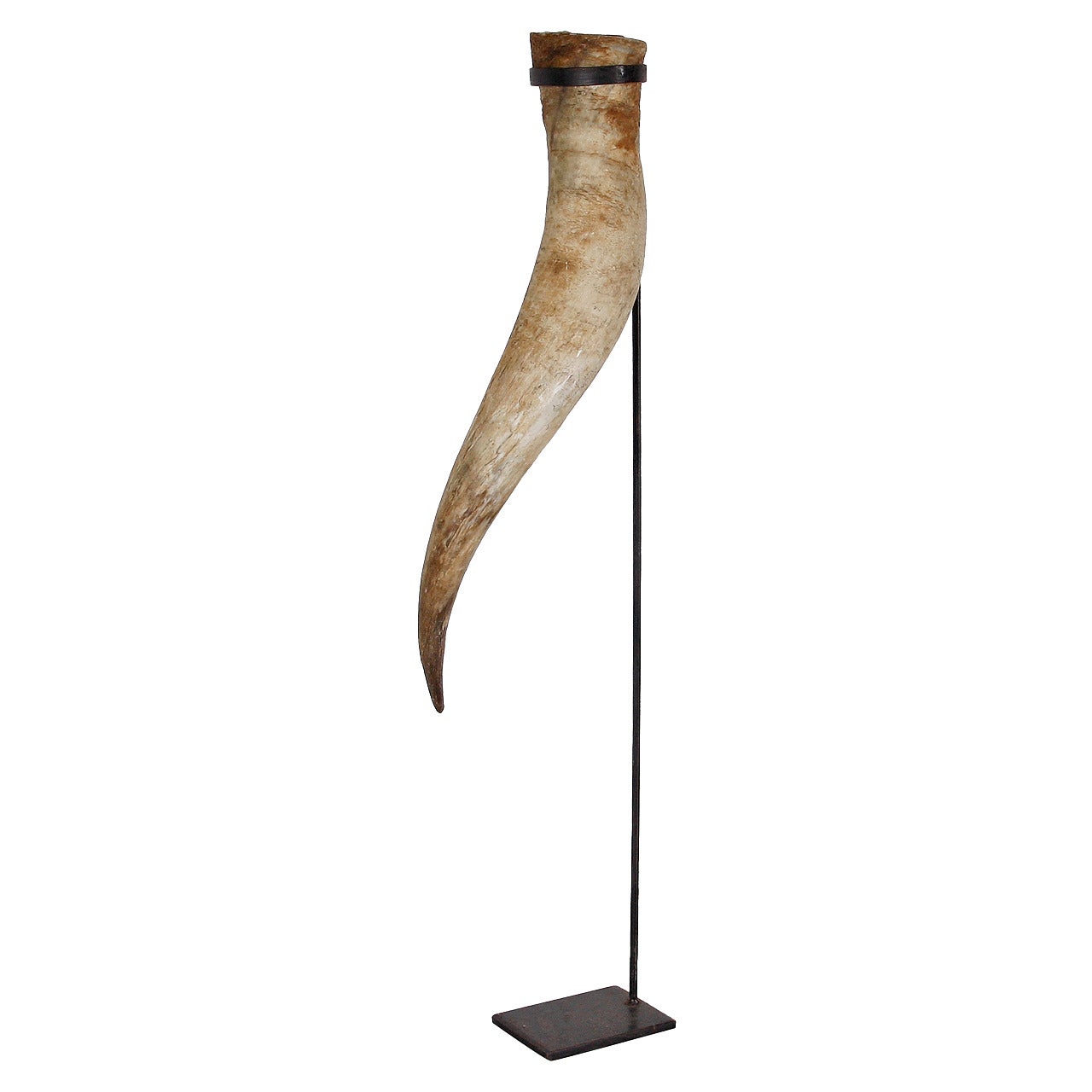 Horn with Brass Stand
