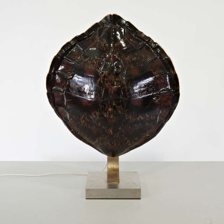 Table Turtle Lamp attributed to Maria Pergay, designed around 1970.
Steel and brass base, real turtle shell working as a shade. 

The lamp is in excellent condition and preserves a beautiful patina.

Some of the early works from Maria Pergay
