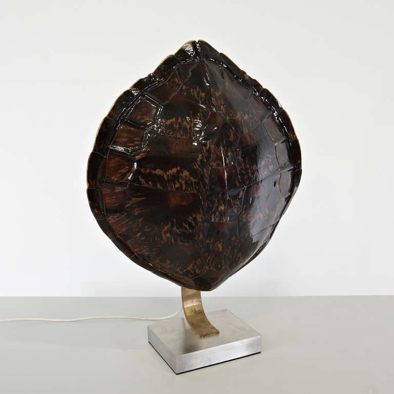 Mid-Century Modern Turtle Lamp Attributed to Maria Pergay, circa 1970