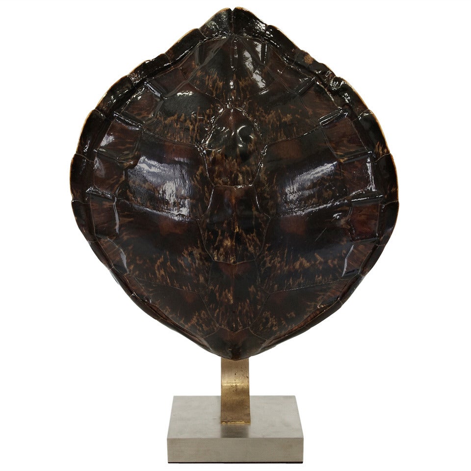 Turtle Lamp Attributed to Maria Pergay, circa 1970