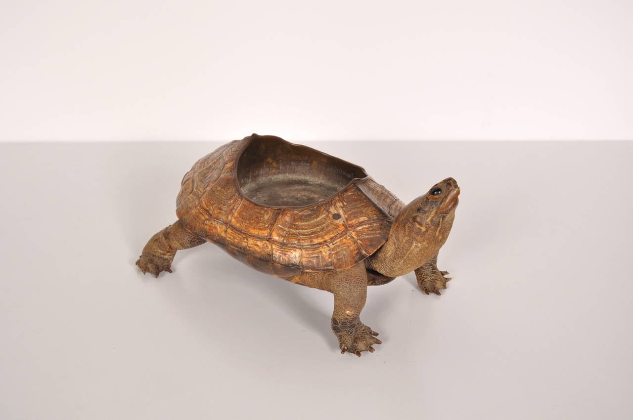 Unique turtle shaped bronze ash tray, manufactured around 1930.

The ashtray is crafted from high quality bronze with beautiful, very realistic details. A hole in the shell is used as the tray.

In good condition with minor wear consistent with