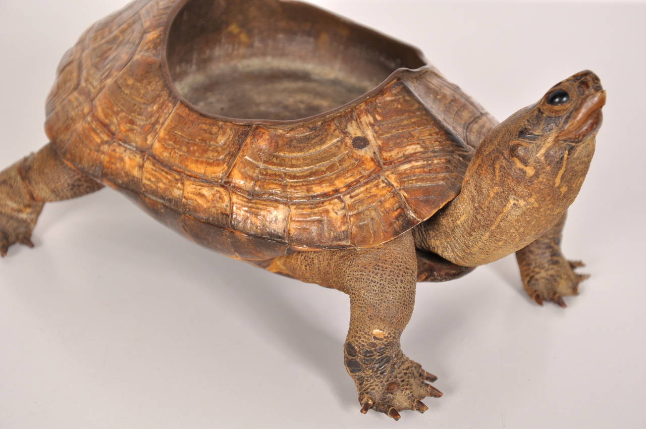 Austrian Bronze Turtle Shaped Ashtray, circa 1930