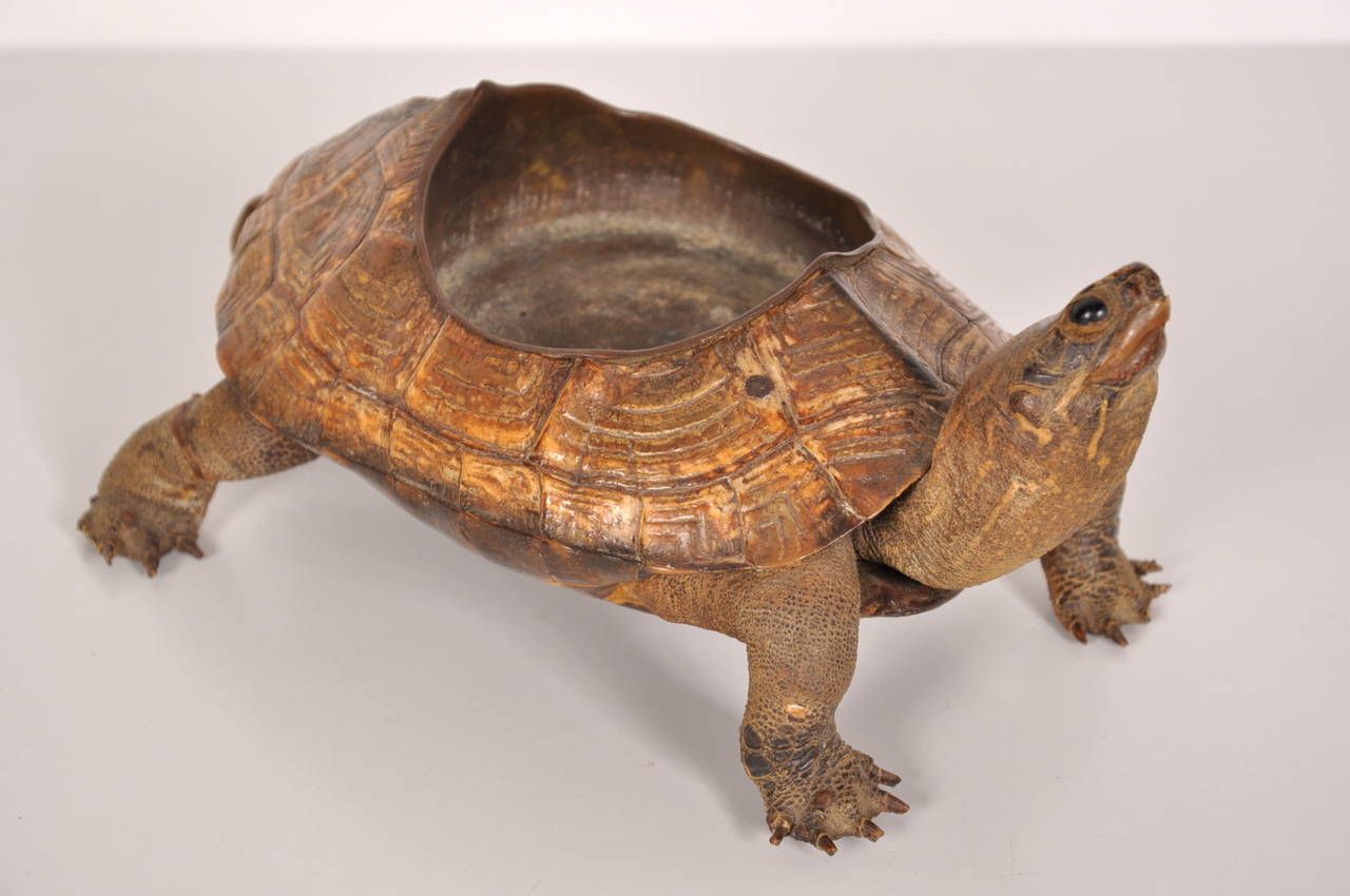 Mid-Century Modern Bronze Turtle Shaped Ashtray, circa 1930