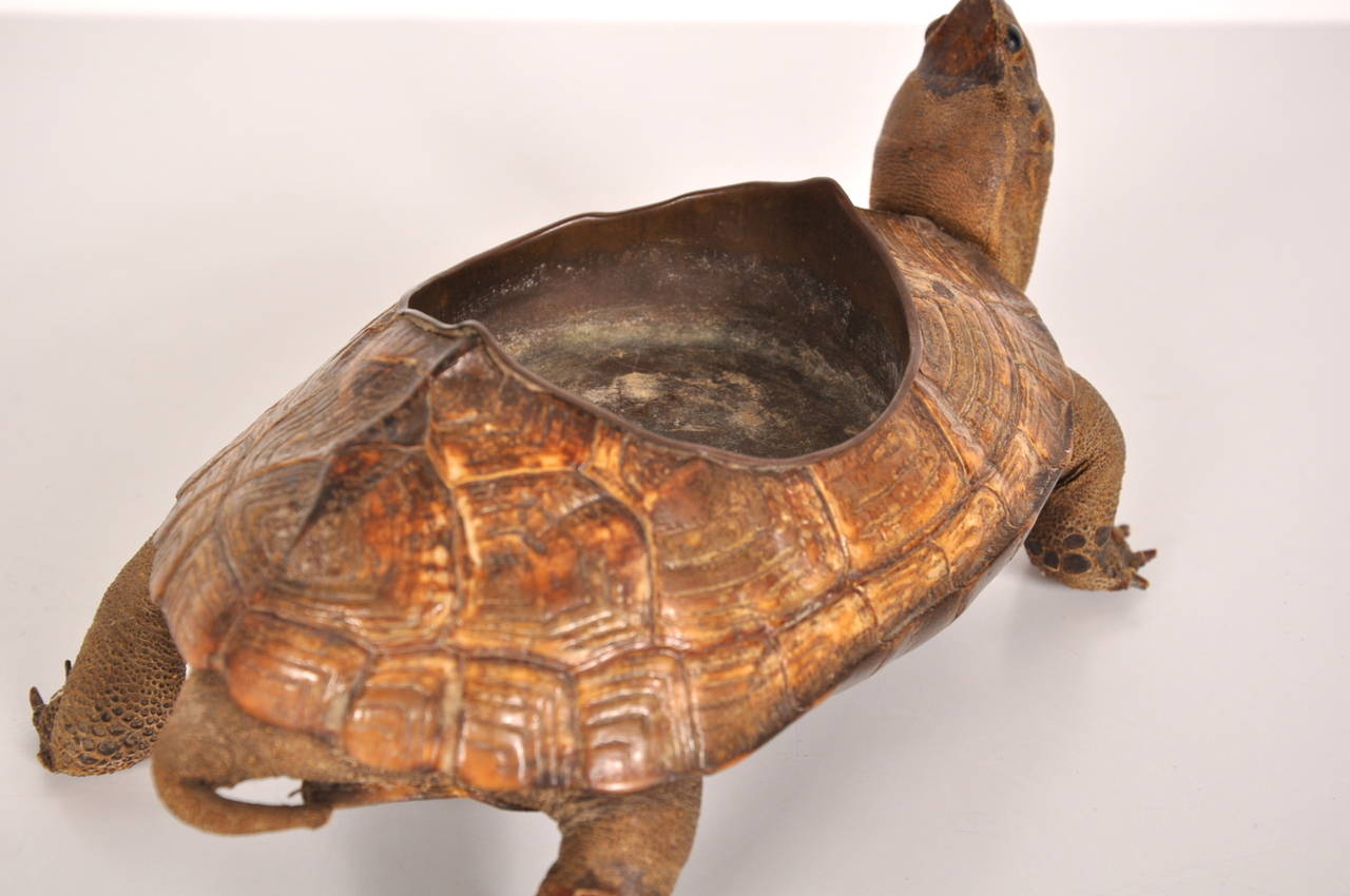 Mid-20th Century Bronze Turtle Shaped Ashtray, circa 1930