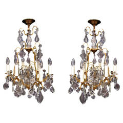 Pair of Six-Arm, Gilt and Glass Chandeliers